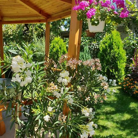 Kyurkchievi Guest House Szapareva Banja Kültér fotó