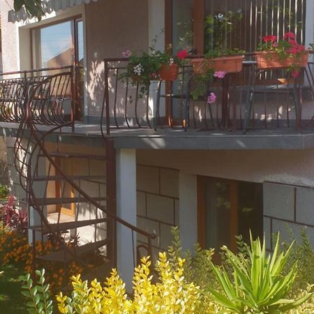 Kyurkchievi Guest House Szapareva Banja Kültér fotó