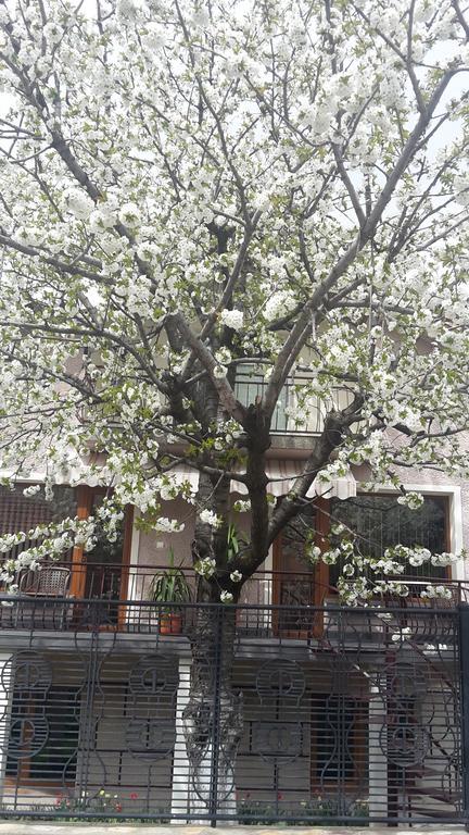 Kyurkchievi Guest House Szapareva Banja Kültér fotó