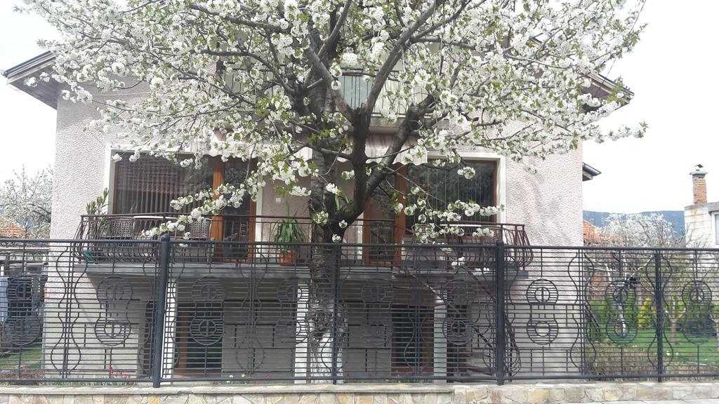 Kyurkchievi Guest House Szapareva Banja Kültér fotó