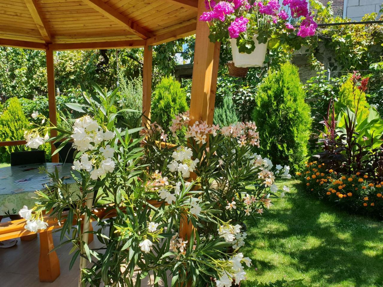 Kyurkchievi Guest House Szapareva Banja Kültér fotó