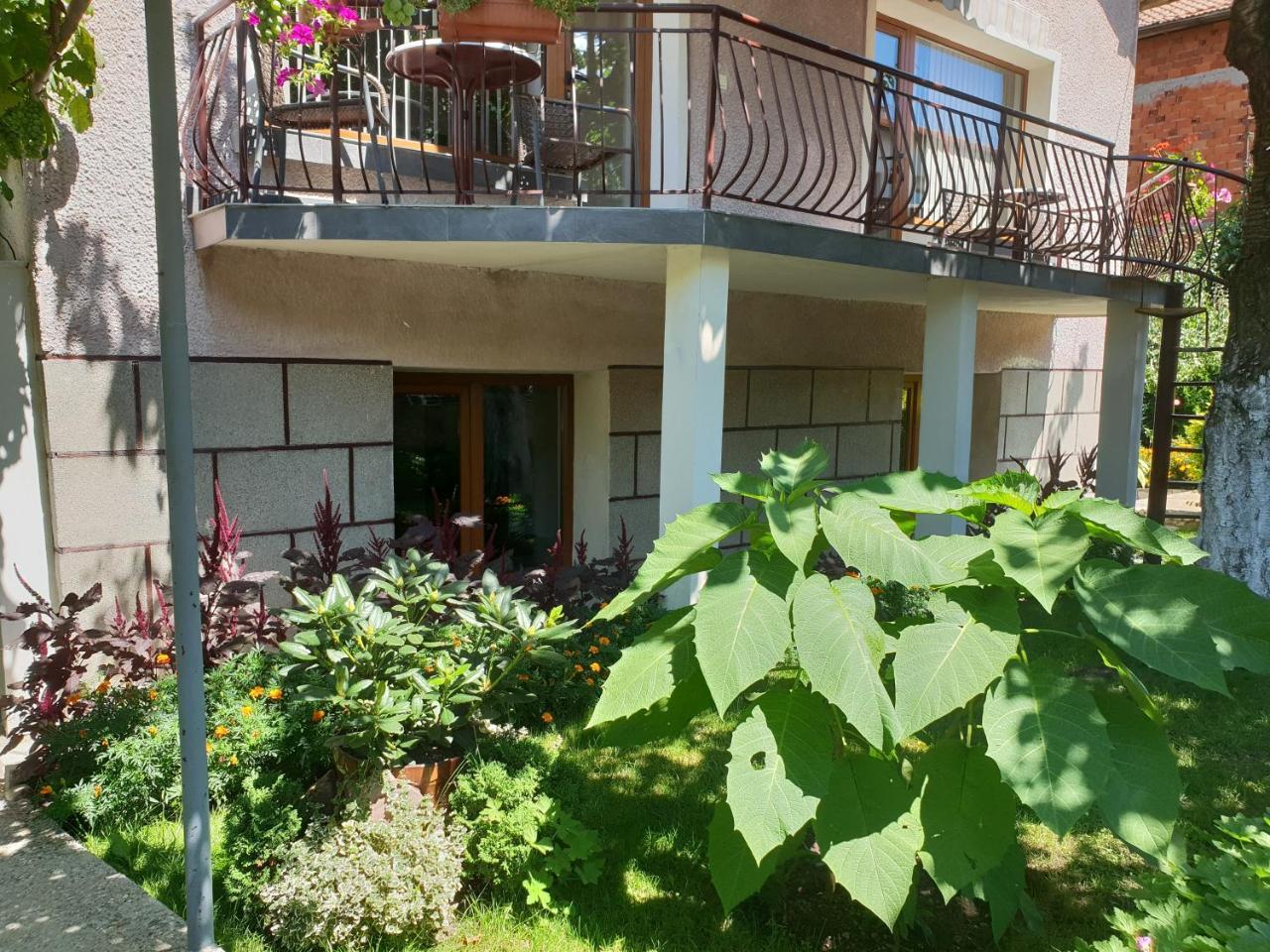Kyurkchievi Guest House Szapareva Banja Kültér fotó