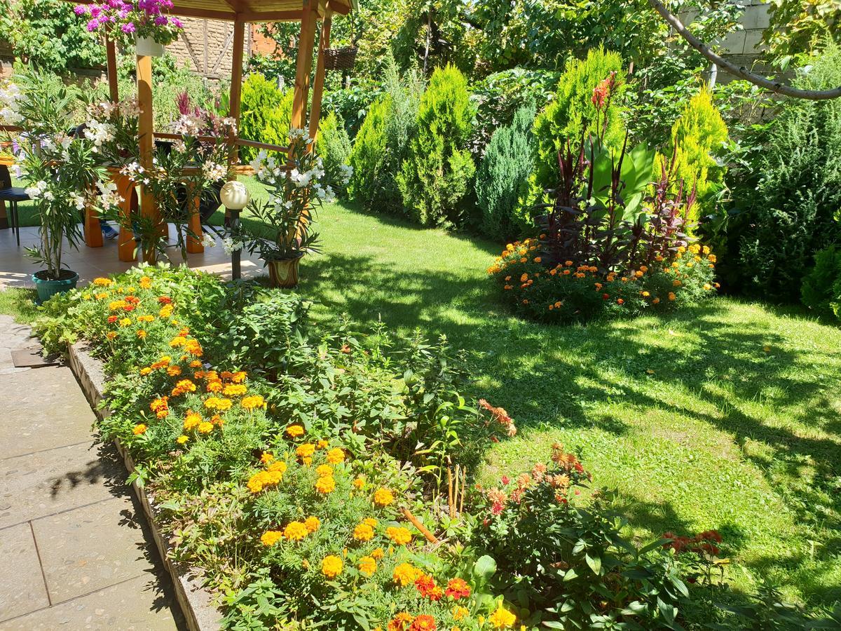 Kyurkchievi Guest House Szapareva Banja Kültér fotó