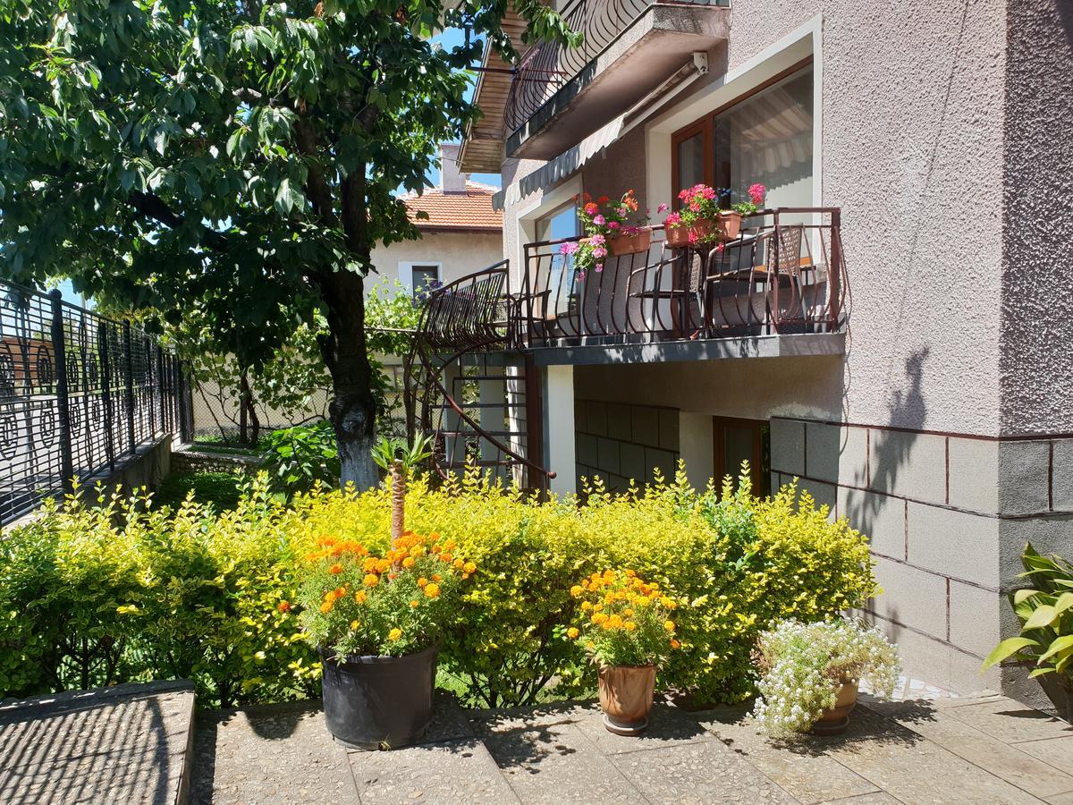 Kyurkchievi Guest House Szapareva Banja Kültér fotó