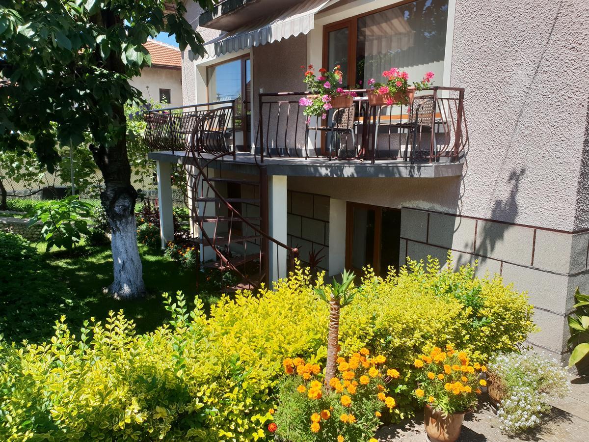Kyurkchievi Guest House Szapareva Banja Kültér fotó