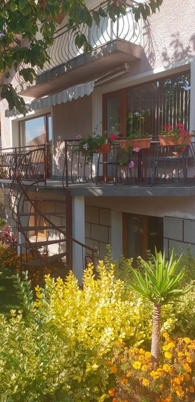 Kyurkchievi Guest House Szapareva Banja Kültér fotó
