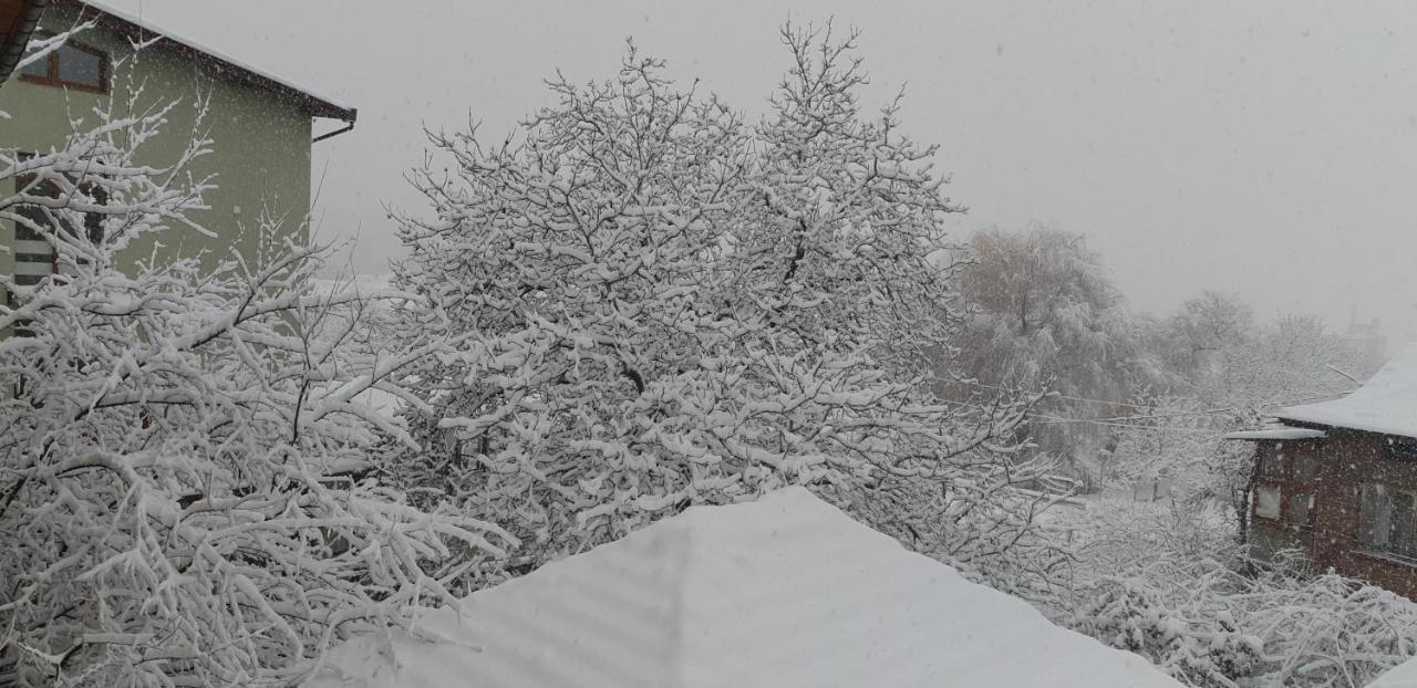 Kyurkchievi Guest House Szapareva Banja Kültér fotó
